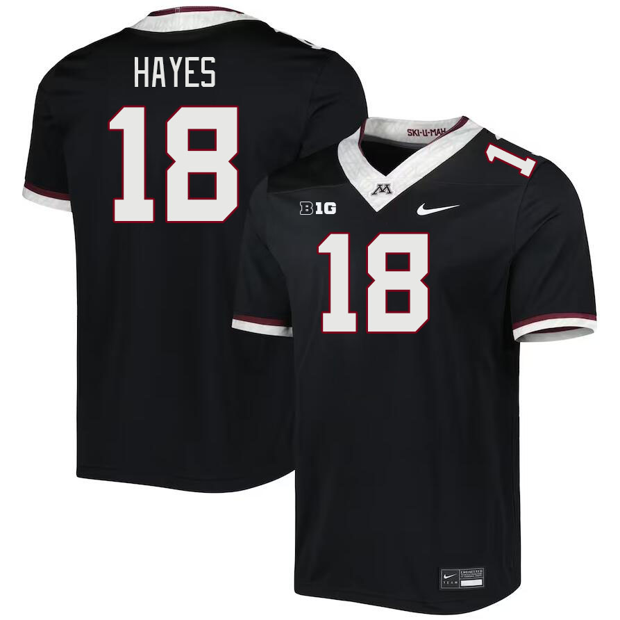 Men #18 Donielle Hayes Minnesota Golden Gophers College Football Jerseys Stitched-Black